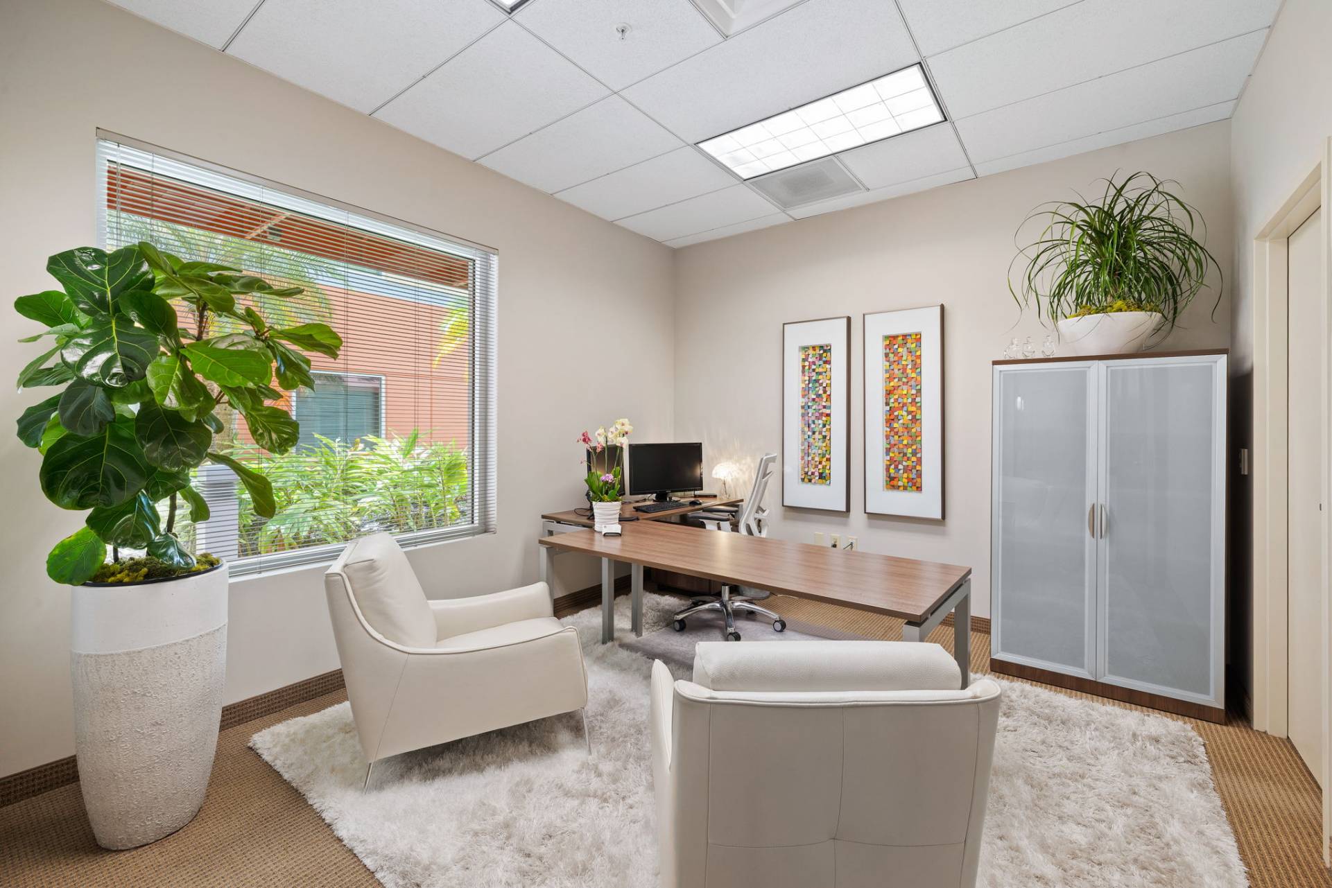 Fort Myers FL show office with modern furniture, lush plants, and natural lighting in a professional workspace setting.