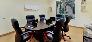 Meeting, Conference, Training and Video Conference Options